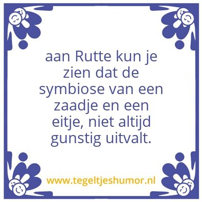Tegeltje: Rutte