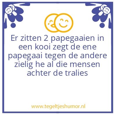 Tegeltje: Toppunt van positiviteit