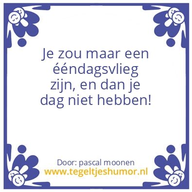 Tegeltje: geluk