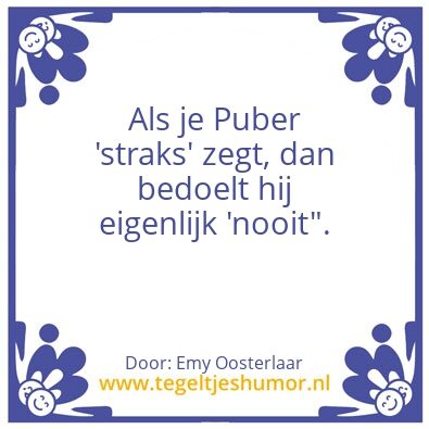 Tegeltje: Puber