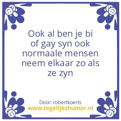 Tegeltje: bi of gay