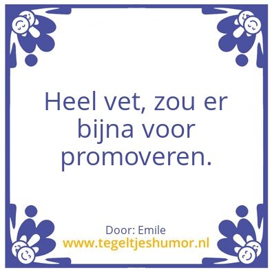 Tegeltje: Promoveren