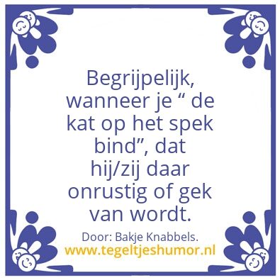 Tegeltje: De kat op â€¦â€¦â€¦â€¦