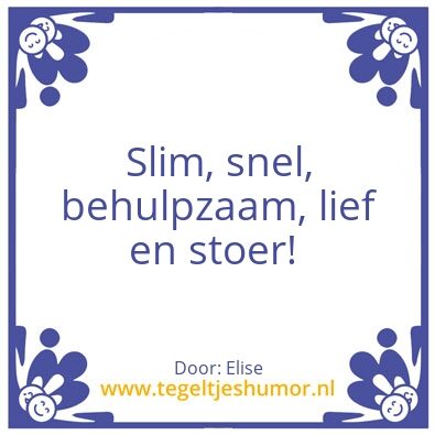 Tegeltje: Elise
