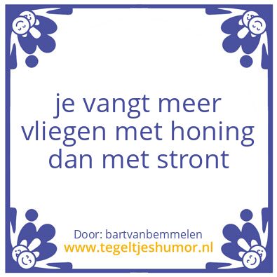 Tegeltje: vlieg