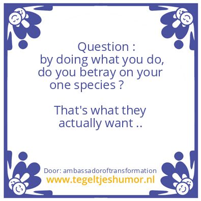 Tegeltje: Question :
