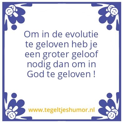 Tegeltje: Evolutie