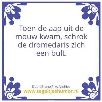 Tegeltje: Dromedaris