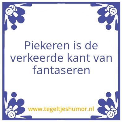 Tegeltje: Fantast
