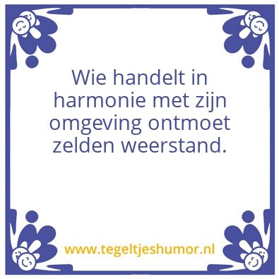 Tegeltje: Lao Tse
