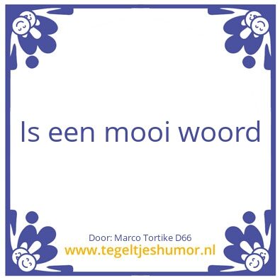 Tegeltje: Polarisatie