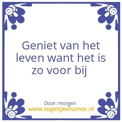 Tegeltje: geniet