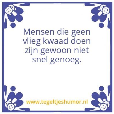 Tegeltje: Vlieg kwaad doen