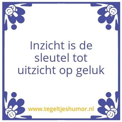 Tegeltje: Inzicht