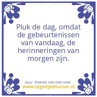 Tegeltje: pluk de dag