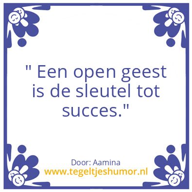 Tegeltje: Mindset / Succes