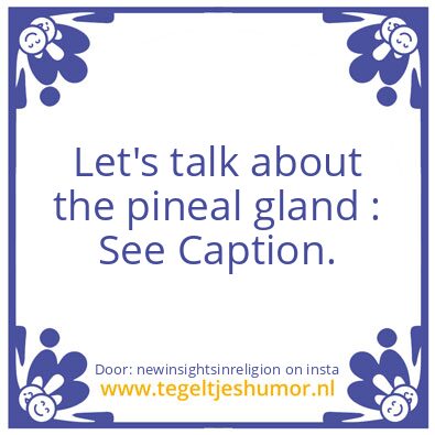 Tegeltje: Now You Know