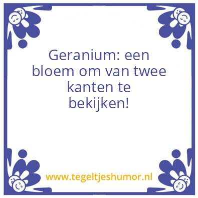 Tegeltje: Achter de Geraniums
