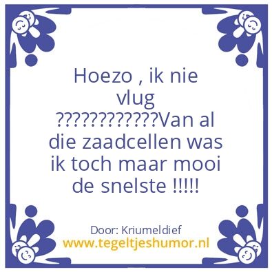 Tegeltje: Tegel