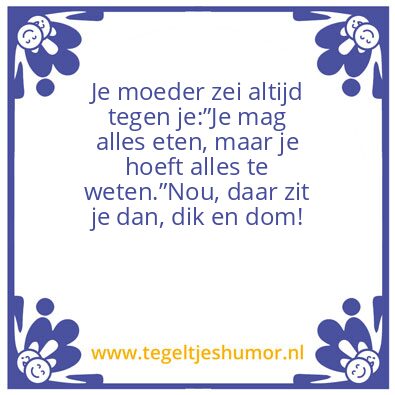 Tegeltje: Dik en Dom