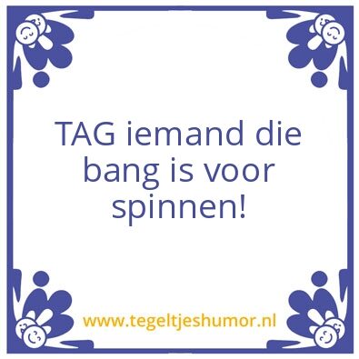 Tegeltje: Spin