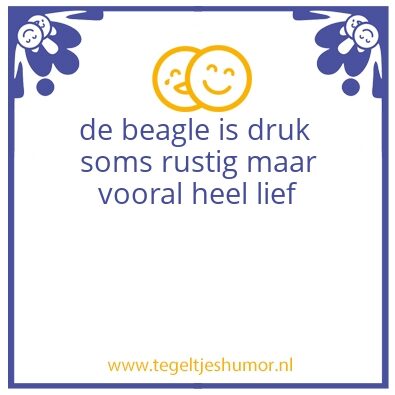 Tegeltje: beagle