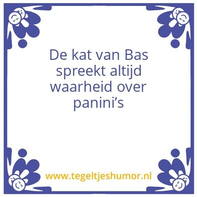 Tegeltje: De wijze kat