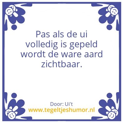 Tegeltje: Ui