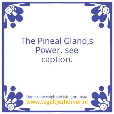 Tegeltje: round and oval not squere