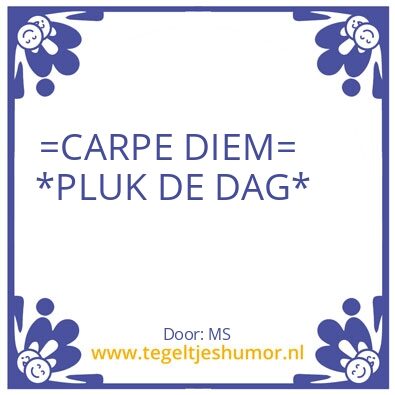 Tegeltje: CARPE DIEM