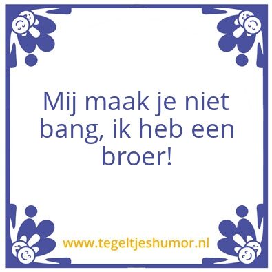 Tegeltje: Broer en zussendag