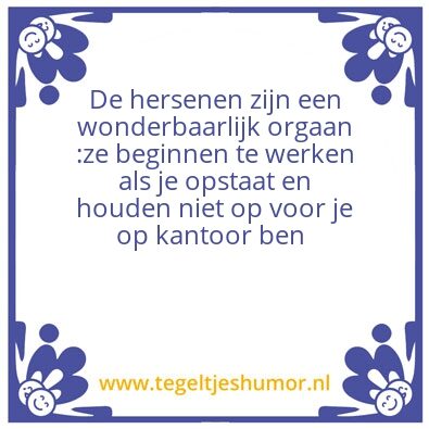 Tegeltje: Fil
