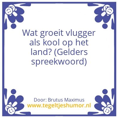 Tegeltje: Kool