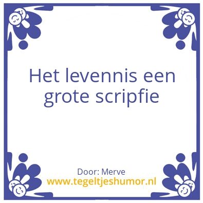 Tegeltje: Levenswijsheid