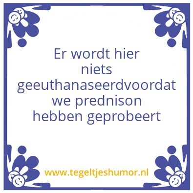 Tegeltje: SteroÃ¯de