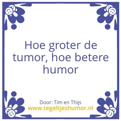 Tegeltje: -Tim en Thijs