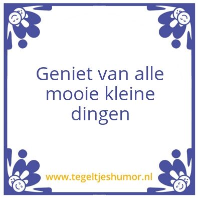 Tegeltje: van Riny voor Guus