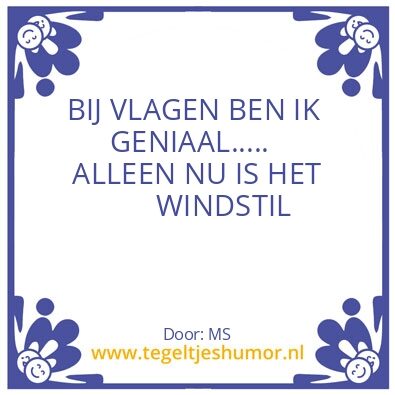 Tegeltje: G E N I A A L