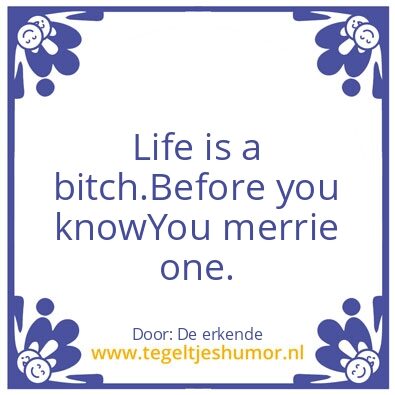 Tegeltje: Bitch