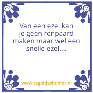 Tegeltje: Renpaard