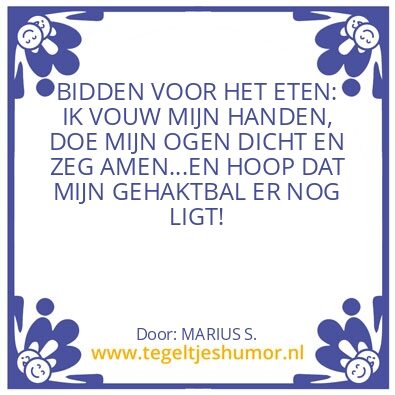 Tegeltje: gehaktbal