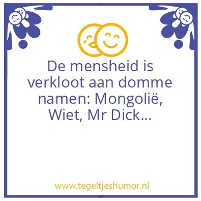 Tegeltje: Domme namen
