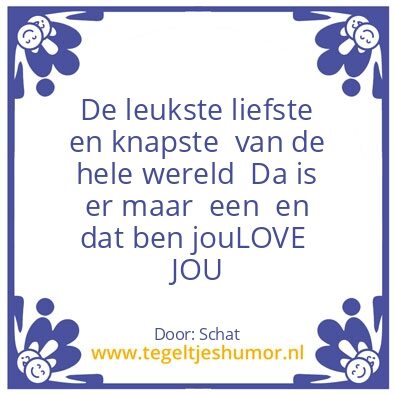 Tegeltje: Schat