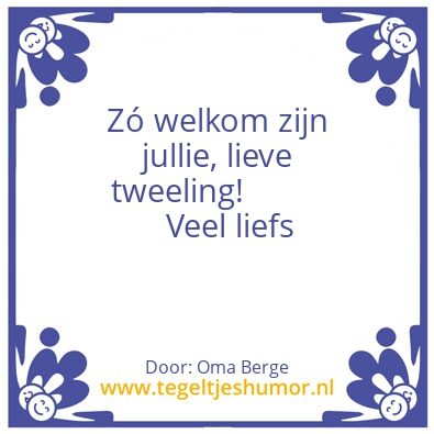 Tegeltje: TWINZ