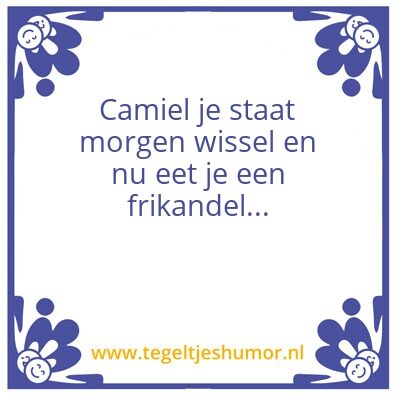 Tegeltje: Frikandel