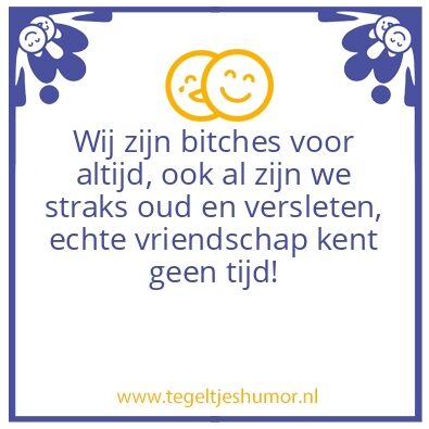 Tegeltje: beste vriendinnen