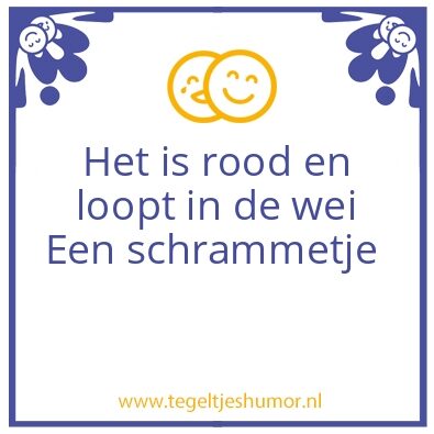 Tegeltje: Mop