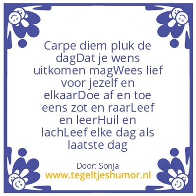 Tegeltje: Carpe diem