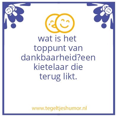 Tegeltje: humor