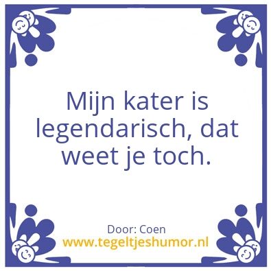 Tegeltje: Kater
